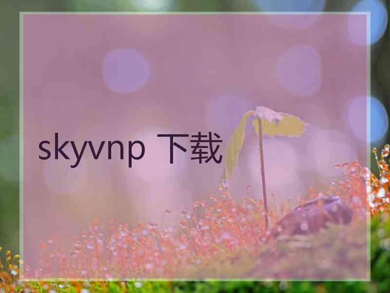 skyvnp 下载