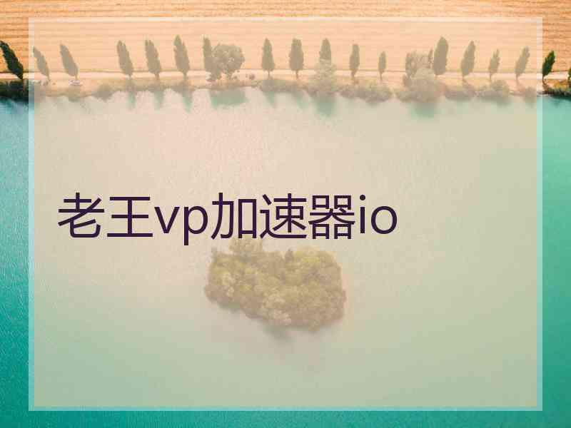 老王vp加速器io