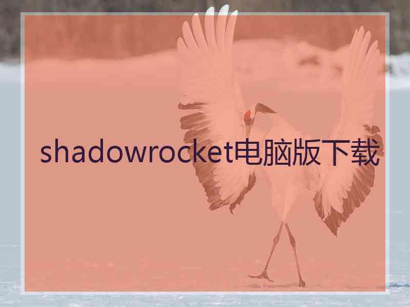 shadowrocket电脑版下载