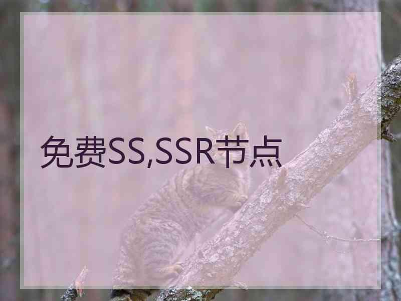 免费SS,SSR节点