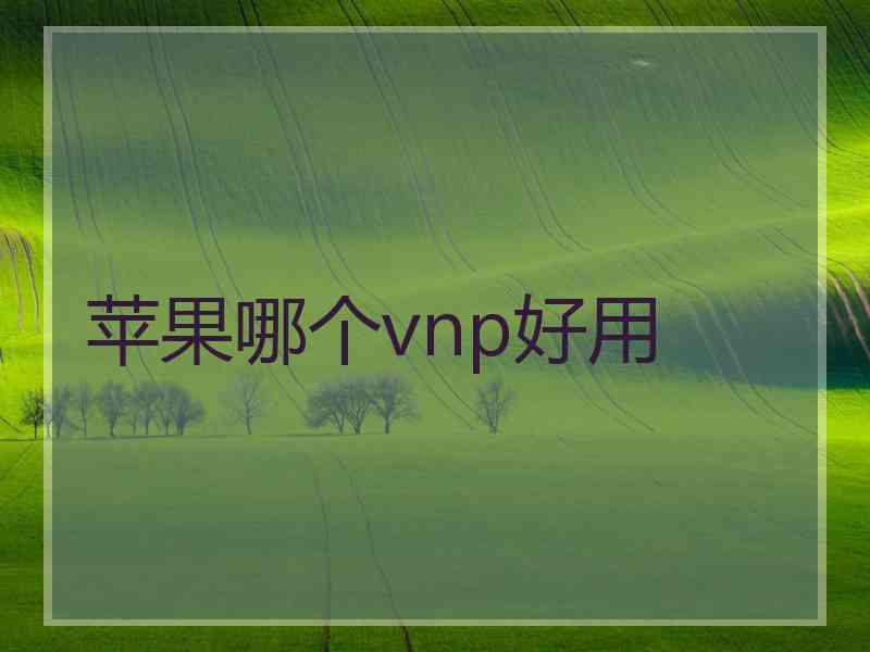 苹果哪个vnp好用