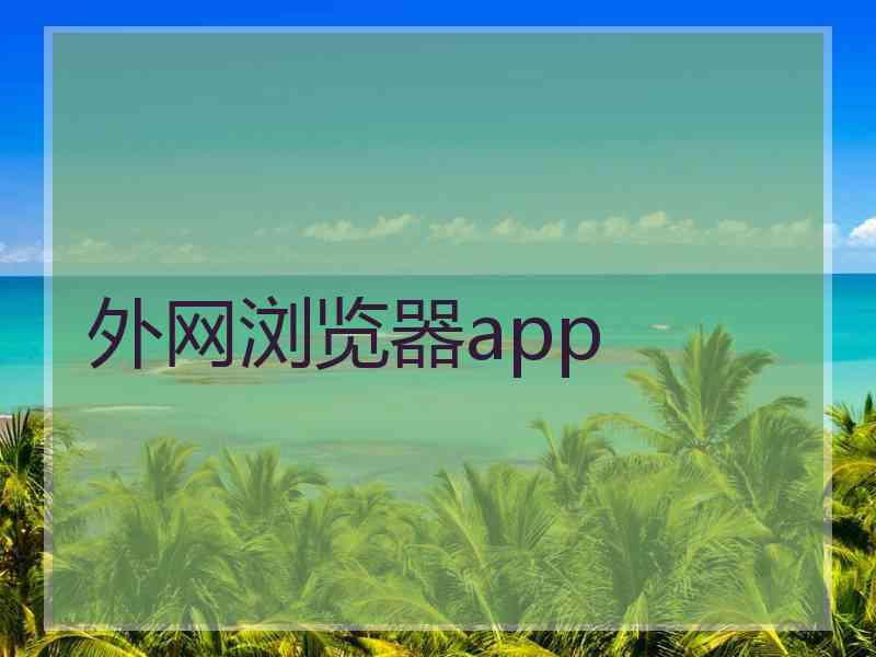 外网浏览器app