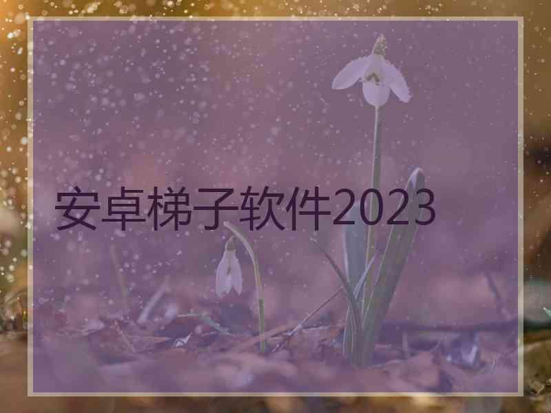 安卓梯子软件2023