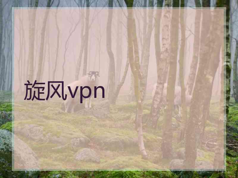 旋风vpn