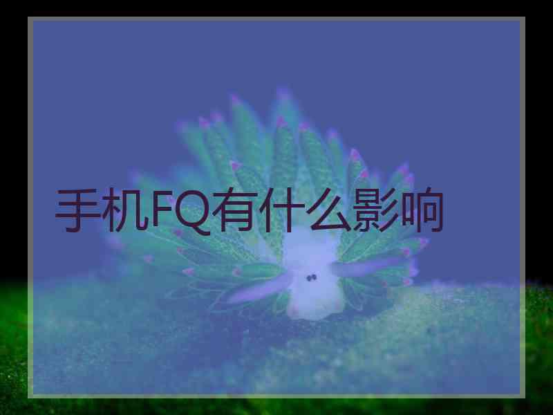 手机FQ有什么影响