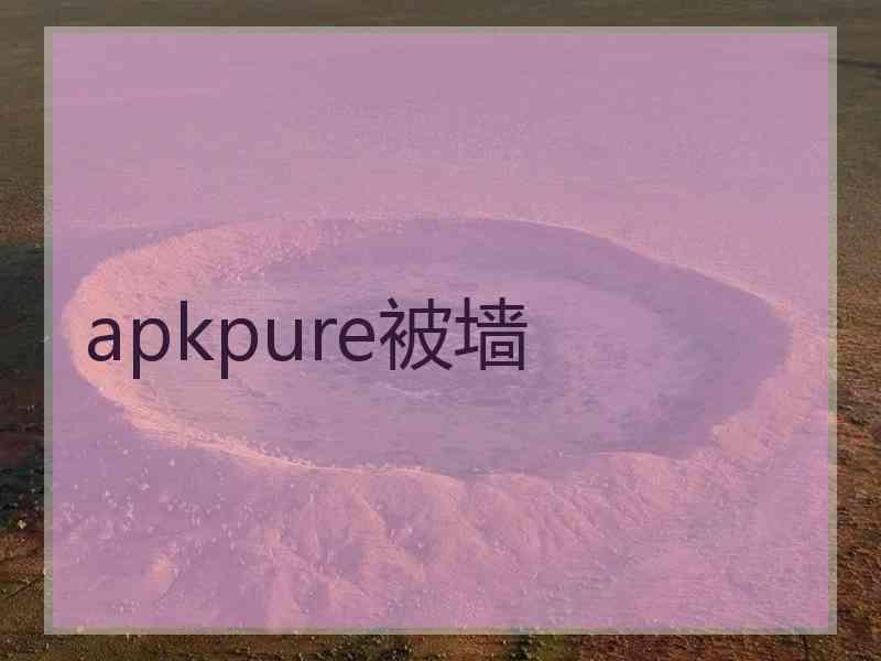 apkpure被墙