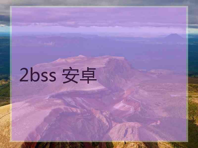 2bss 安卓