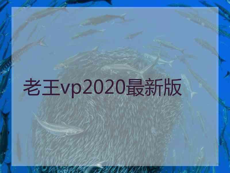 老王vp2020最新版