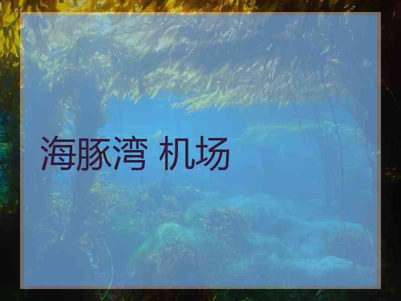 海豚湾 机场