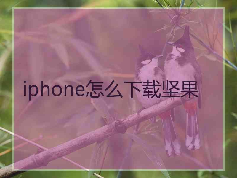 iphone怎么下载坚果