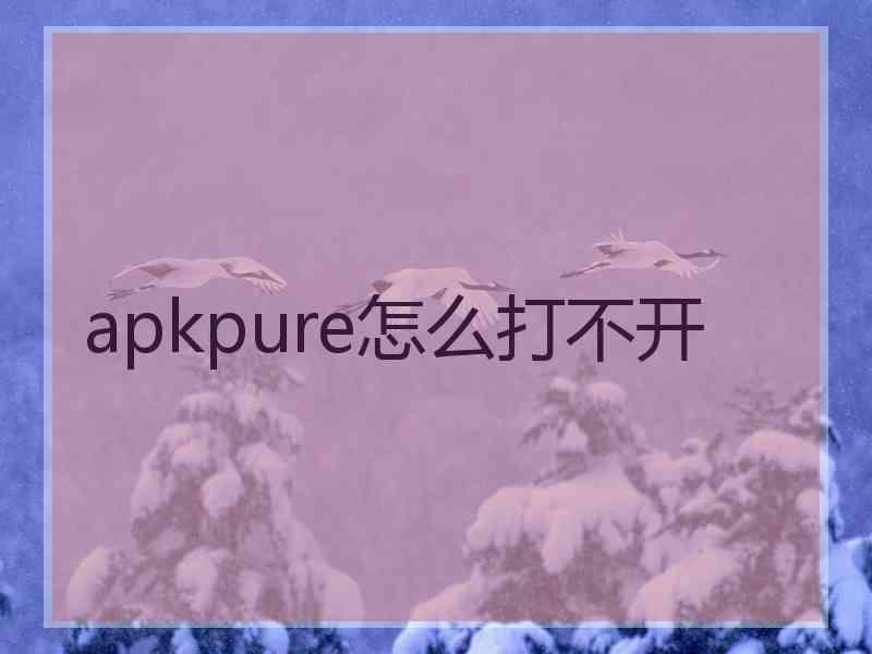 apkpure怎么打不开