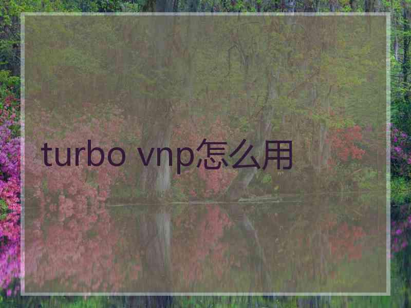 turbo vnp怎么用