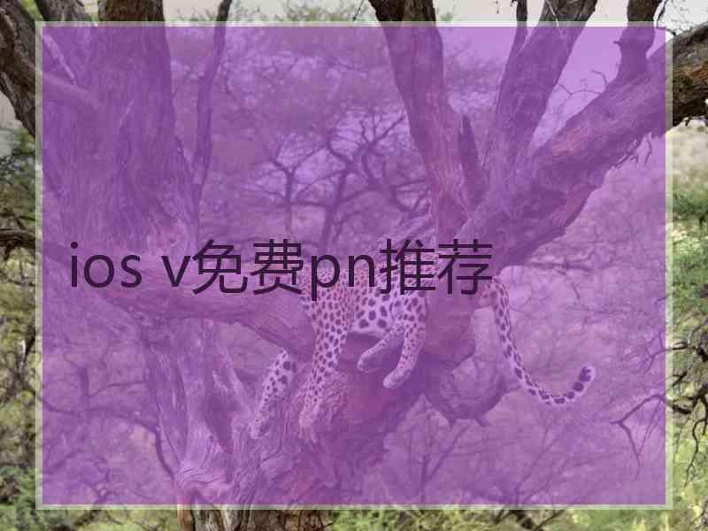 ios v免费pn推荐