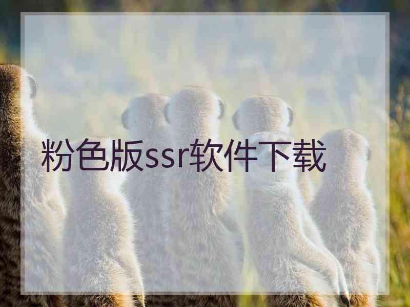 粉色版ssr软件下载