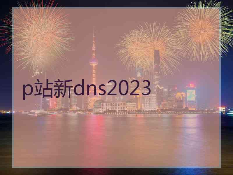 p站新dns2023