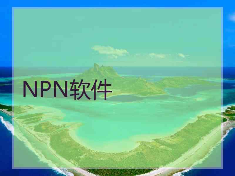 NPN软件