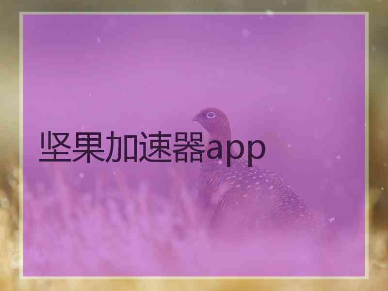 坚果加速器app