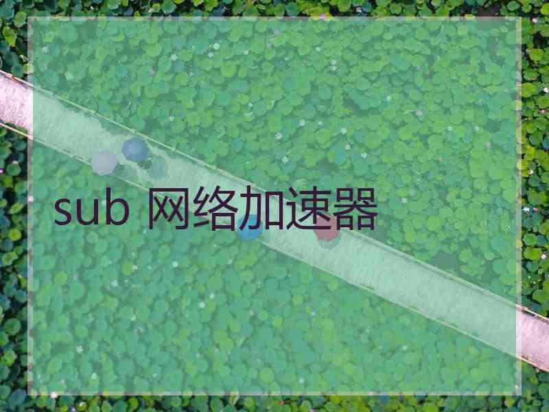 sub 网络加速器