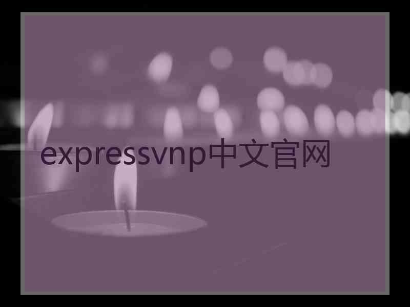 expressvnp中文官网