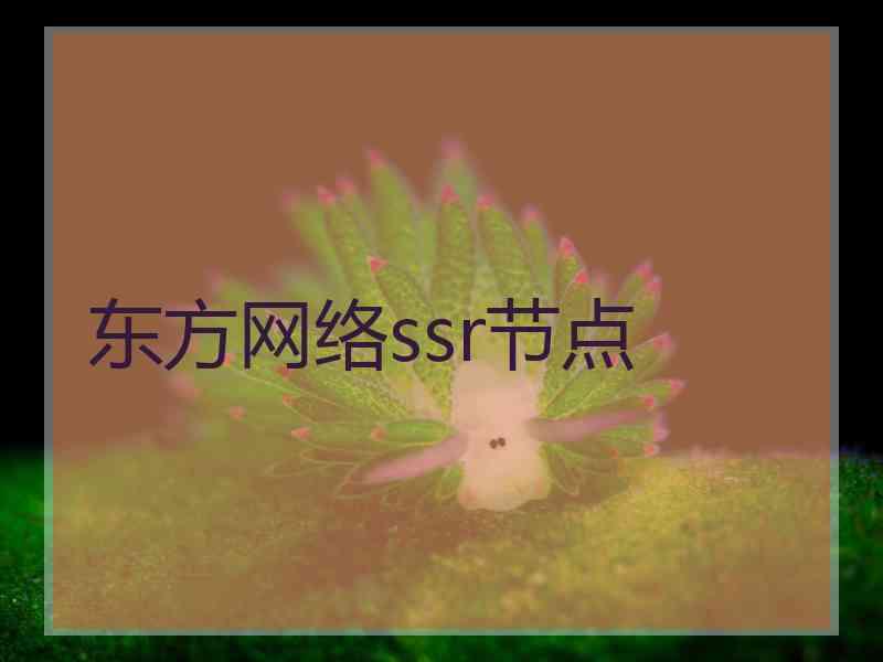 东方网络ssr节点