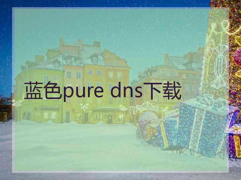 蓝色pure dns下载