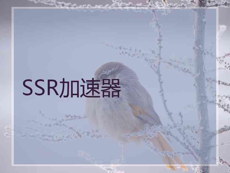 SSR加速器