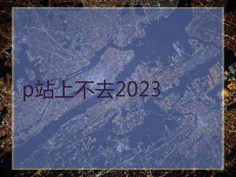 p站上不去2023