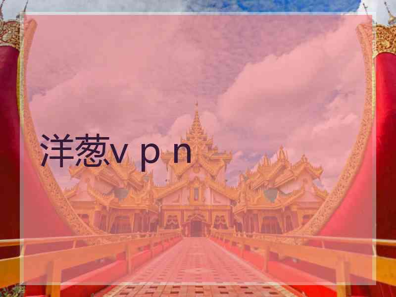 洋葱v p n