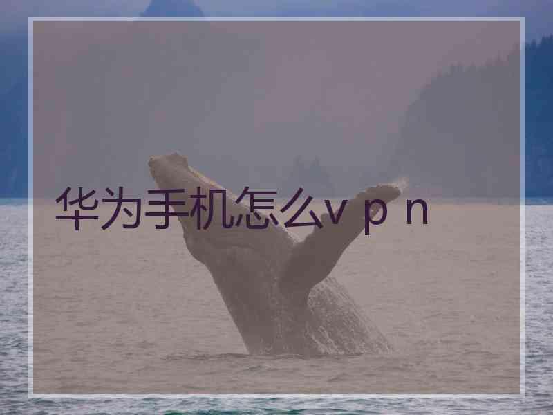 华为手机怎么v p n