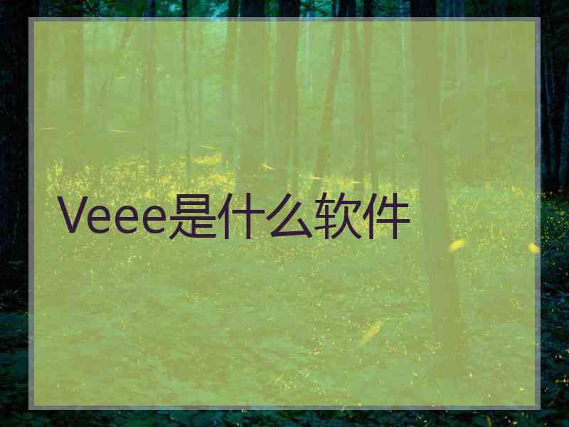 Veee是什么软件