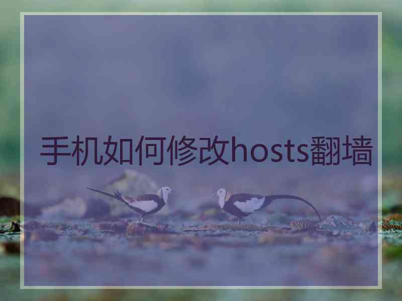 手机如何修改hosts翻墙