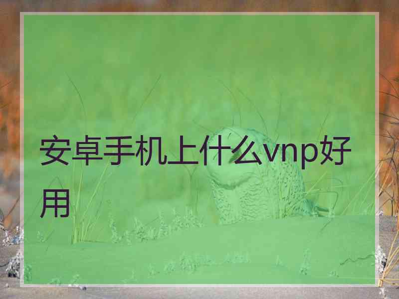 安卓手机上什么vnp好用