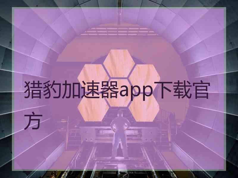 猎豹加速器app下载官方