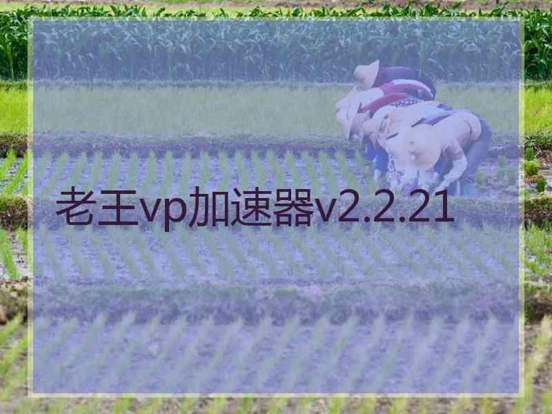 老王vp加速器v2.2.21