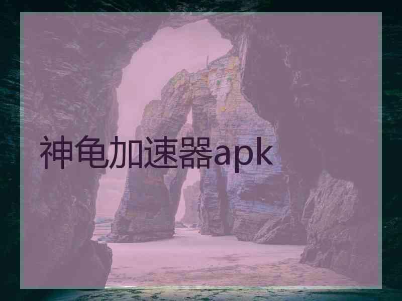 神龟加速器apk