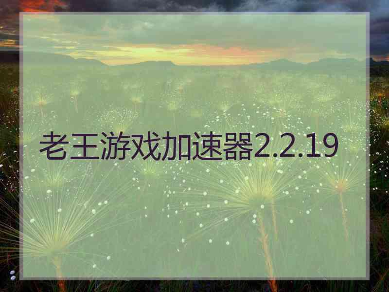 老王游戏加速器2.2.19