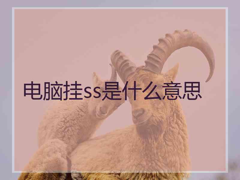 电脑挂ss是什么意思