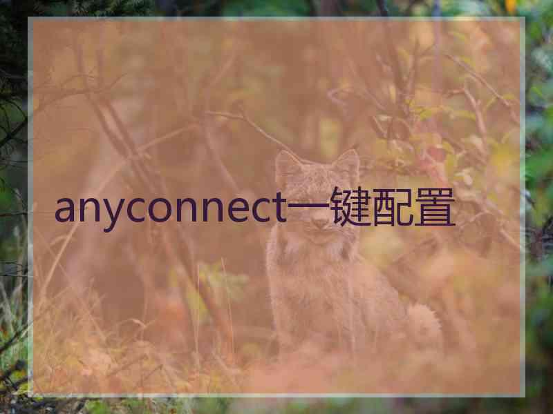 anyconnect一键配置